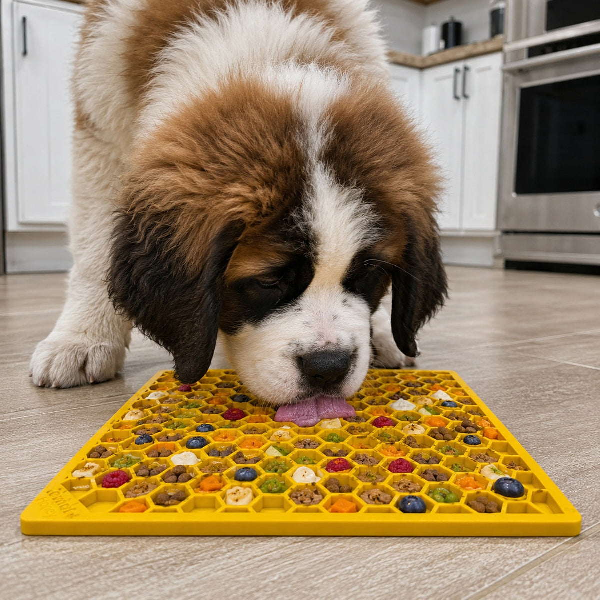 SodaPup Honeycomb Enrichment Lick Mat