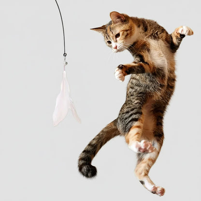 Midfox Feather Wand Cat Toy