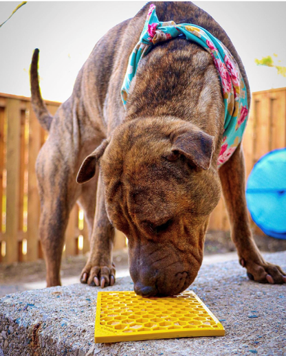 SodaPup Honeycomb Enrichment Lick Mat