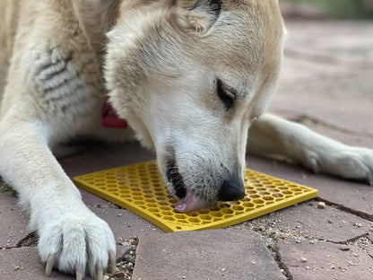 SodaPup Honeycomb Enrichment Lick Mat